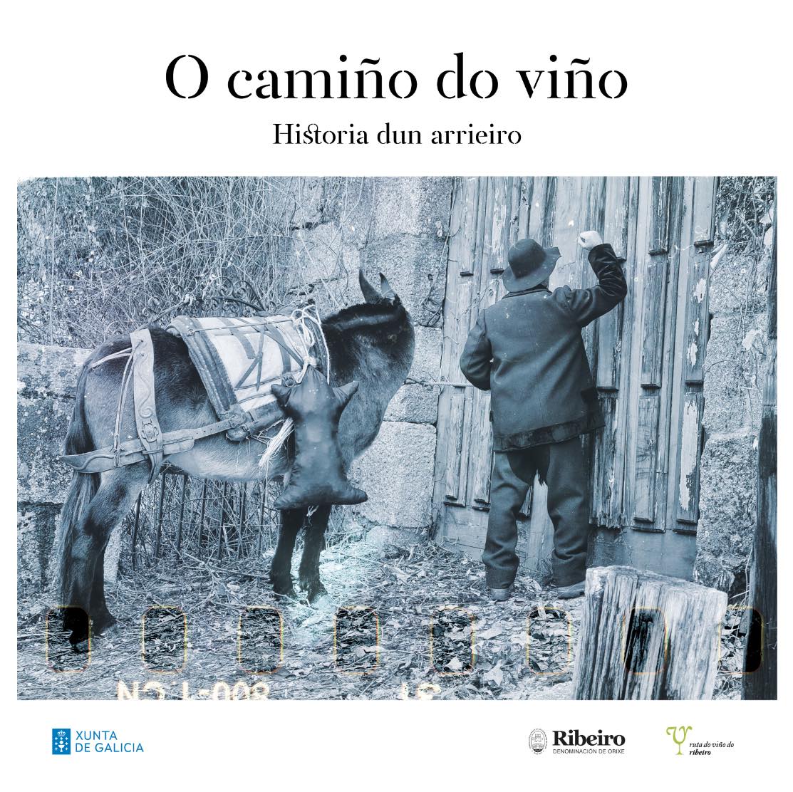 CamiñoDoViño